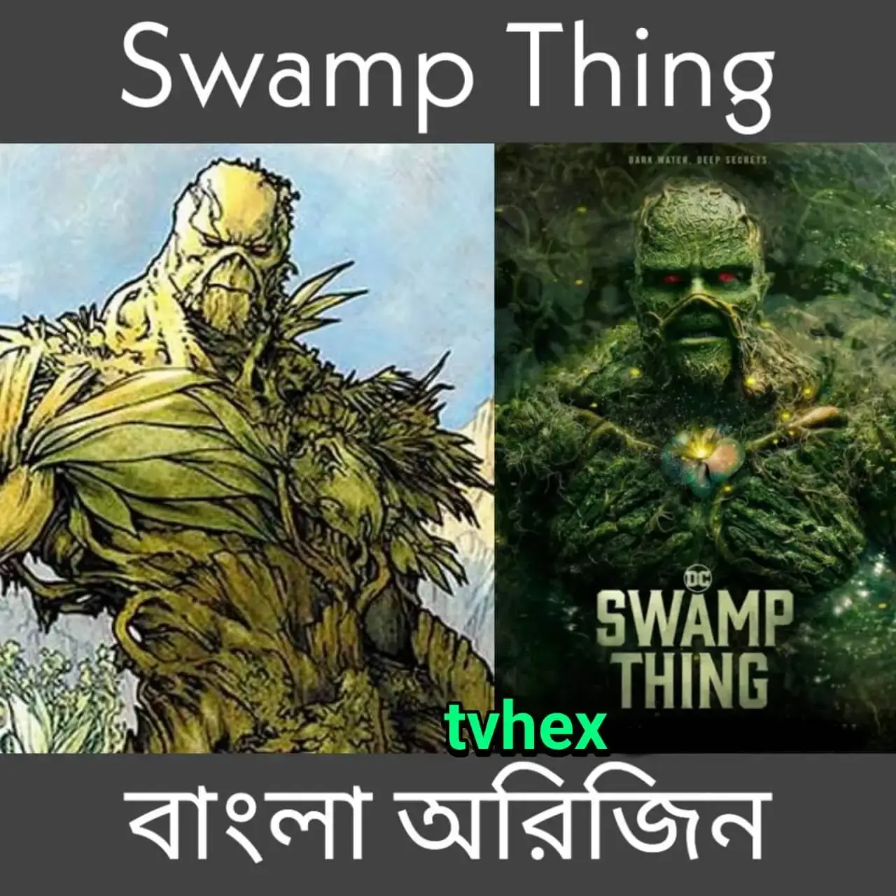সোয়াম্প থিংস বাংলা অরিজিন: Swamp Thing Origin in Bangla সোয়াম্প থিংস বাংলা অরিজিন - swamp things bangla origin